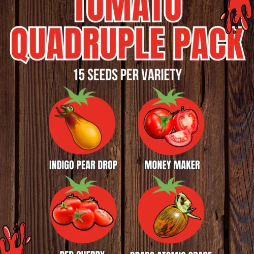 Tomato Quadruple Pack - Indigo Pear Drop, Money Maker, Red Cherry, and Brad's Atomic Grape