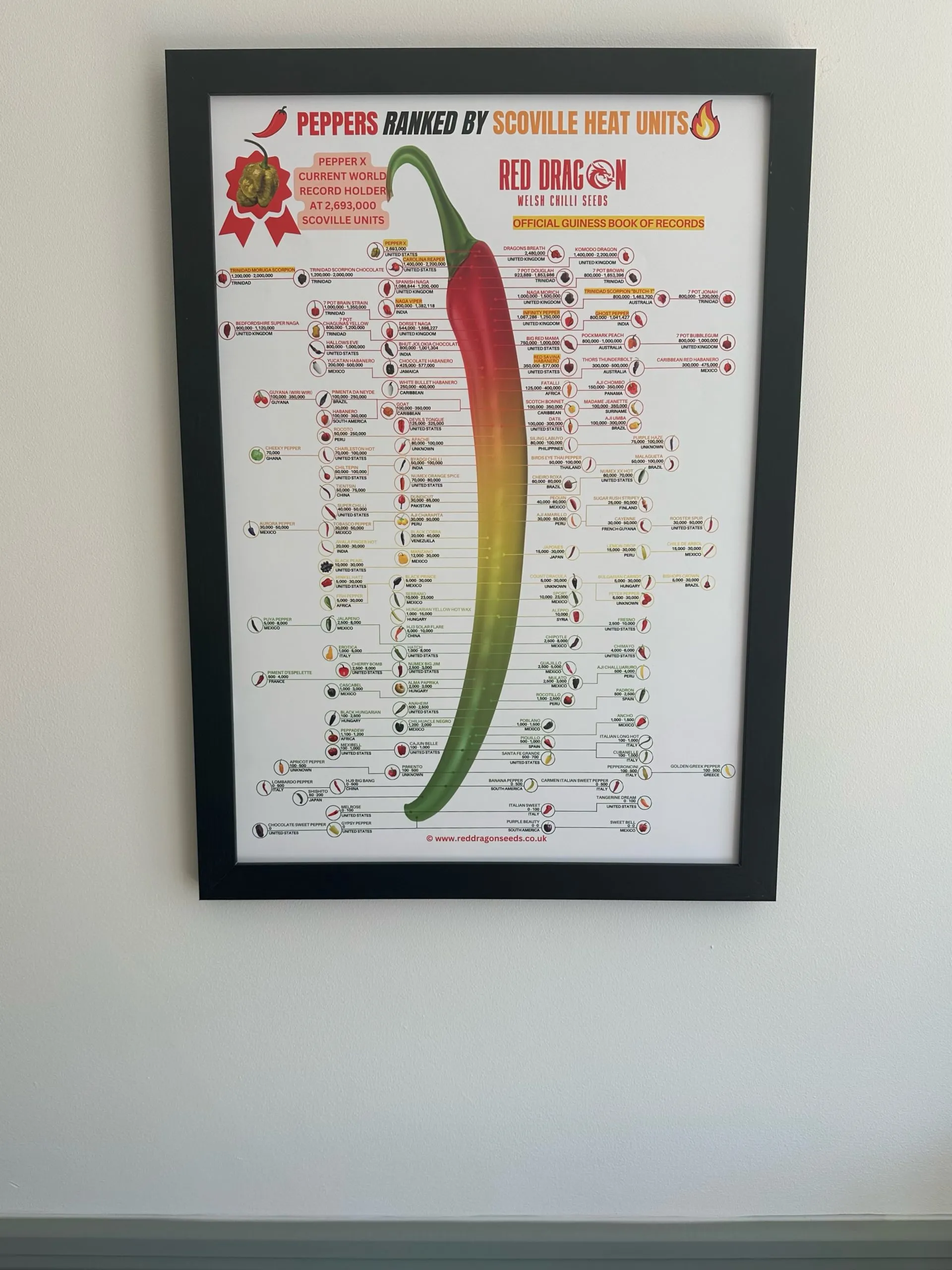 Scoville Chart Poster - A2 Laminated Scoville Chart with over 120 Chilli Types Listed - Image 5