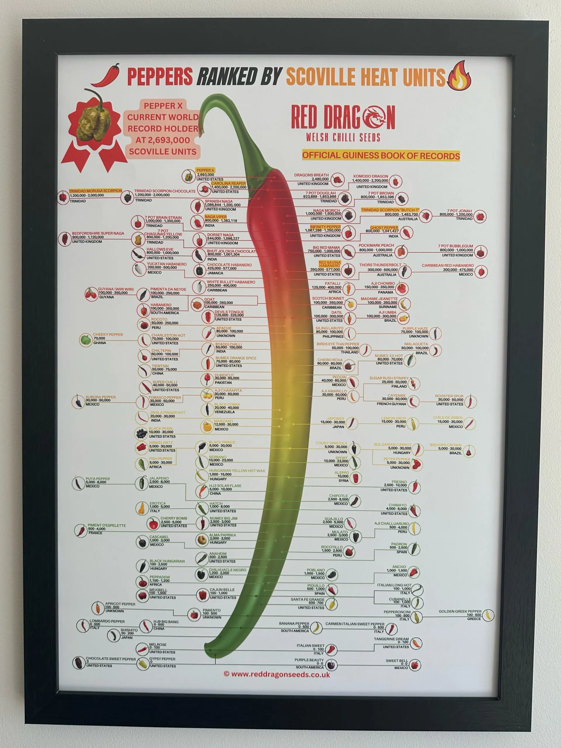 Scoville Chart Poster - A2 Laminated Scoville Chart with over 120 Chilli Types Listed - Image 3