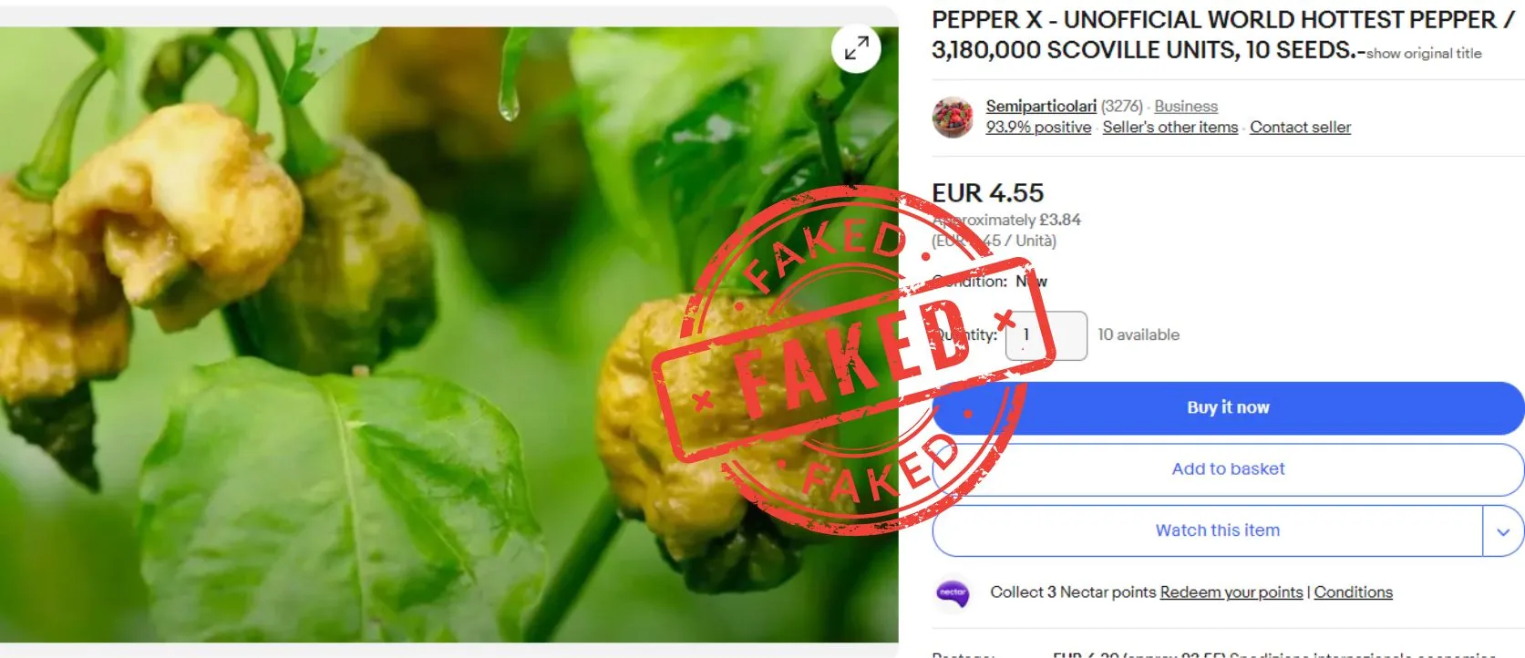 Pepper X Chilli Seeds - WARNING SEEDS ON EBAY ARE FAKE - Image 8