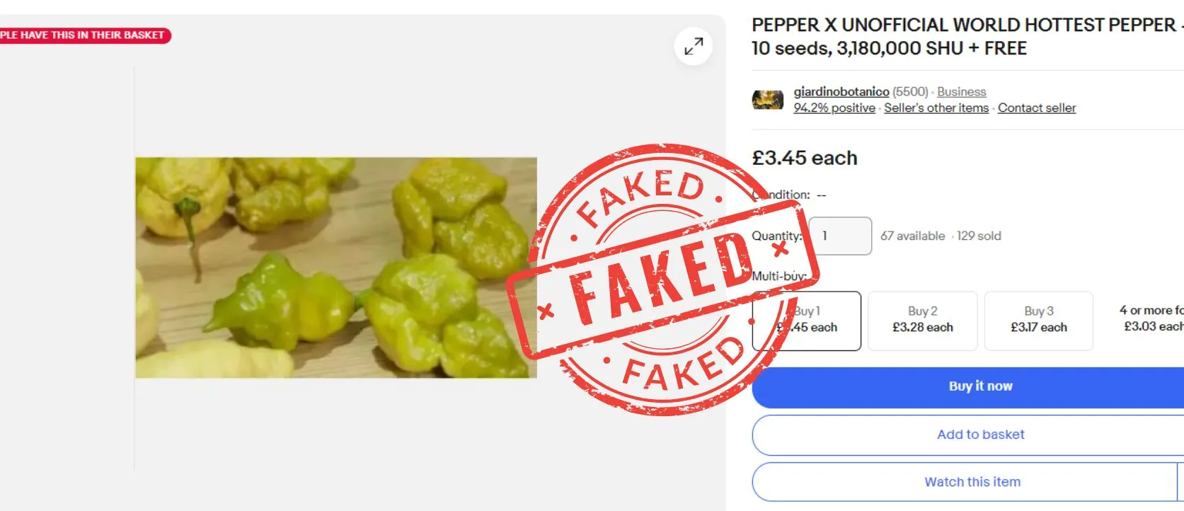 Pepper X Chilli Seeds - WARNING SEEDS ON EBAY ARE FAKE - Image 7