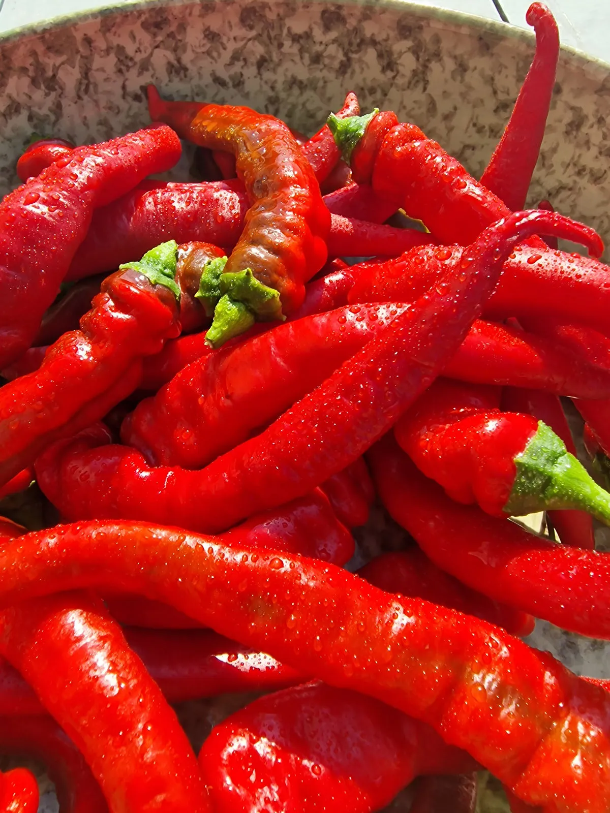 Jimmy Nardellos Chilli Seeds - Image 4