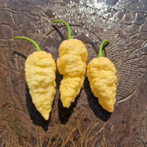 Peach Ghost Jami Chilli Seeds