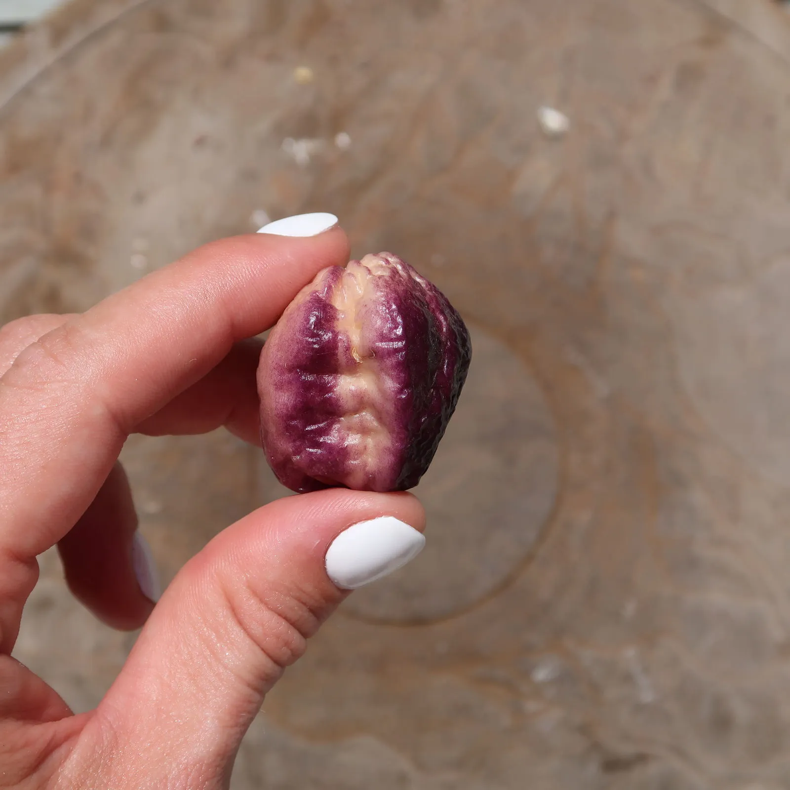 Phat Karen Chilli Seeds - Image 5