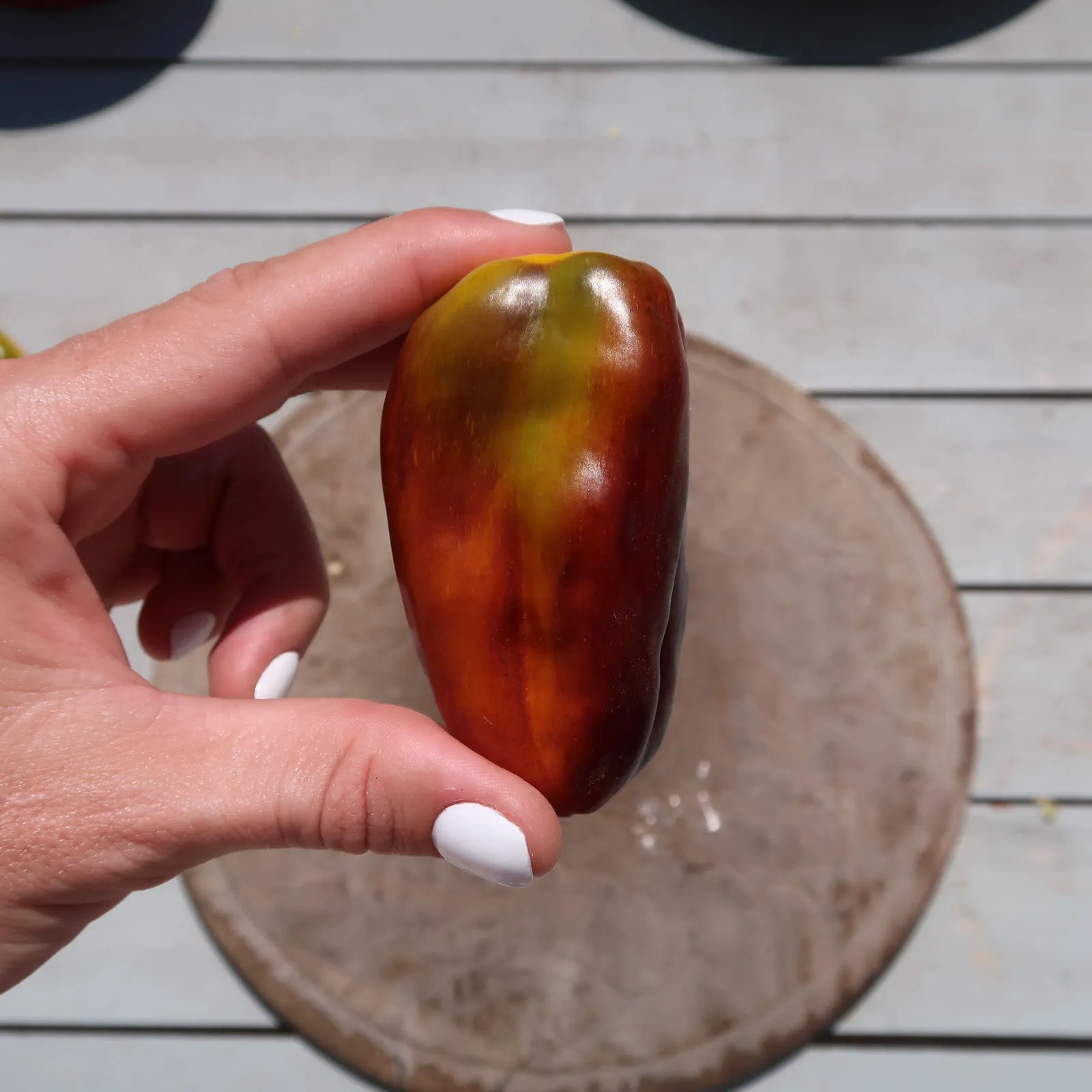 Camelot VSRP Poblano Chilli Seeds - Image 5