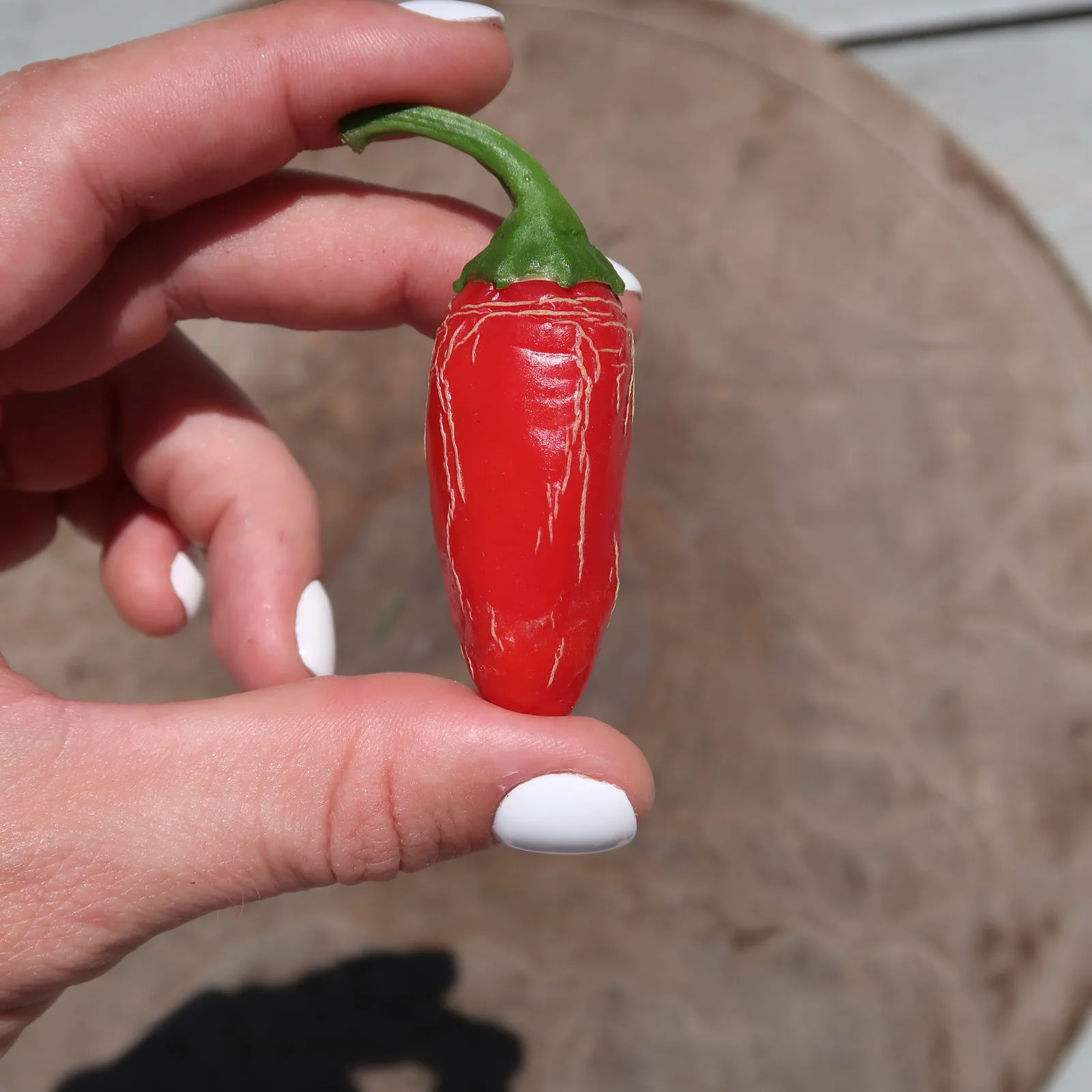 Numex Vaquero Chilli Seeds - Image 6