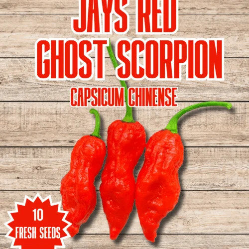 Jays Red Ghost Scorpion Chilli Seeds