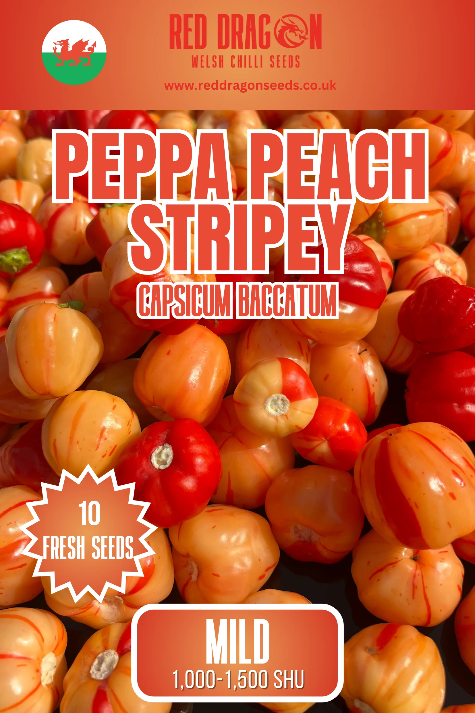 Peppa Peach Stripey Chilli Seeds
