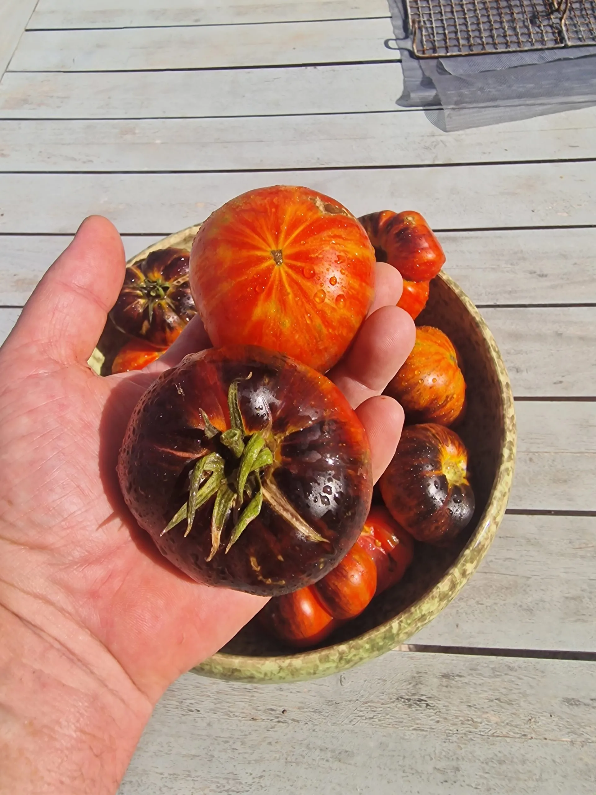 Red Beauty Tomato Seeds - Image 3