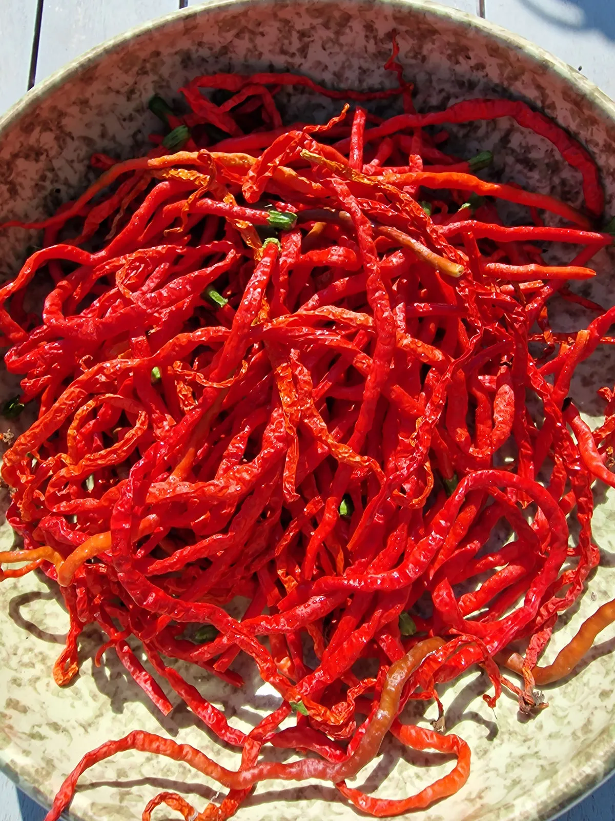 Spaghetti Pepper Chilli Seeds - Image 6