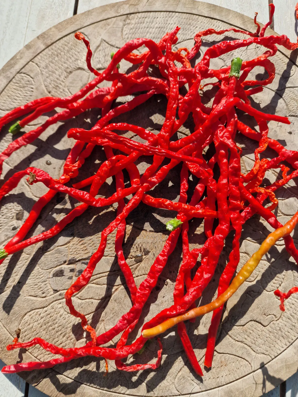 Spaghetti Pepper Chilli Seeds - Image 4