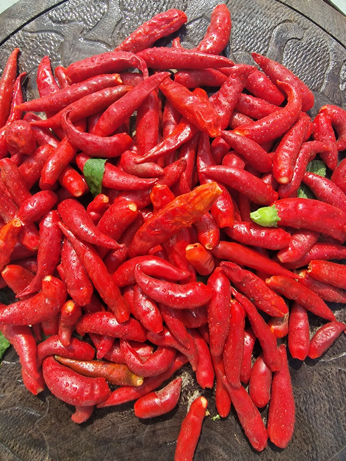 Facing Heaven Chilli Seeds - Image 2