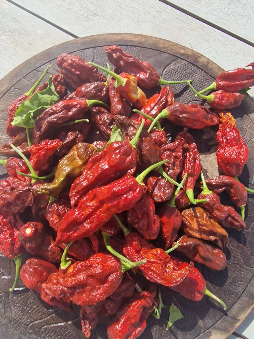 Wolverine Claw Chilli Seeds - Image 3