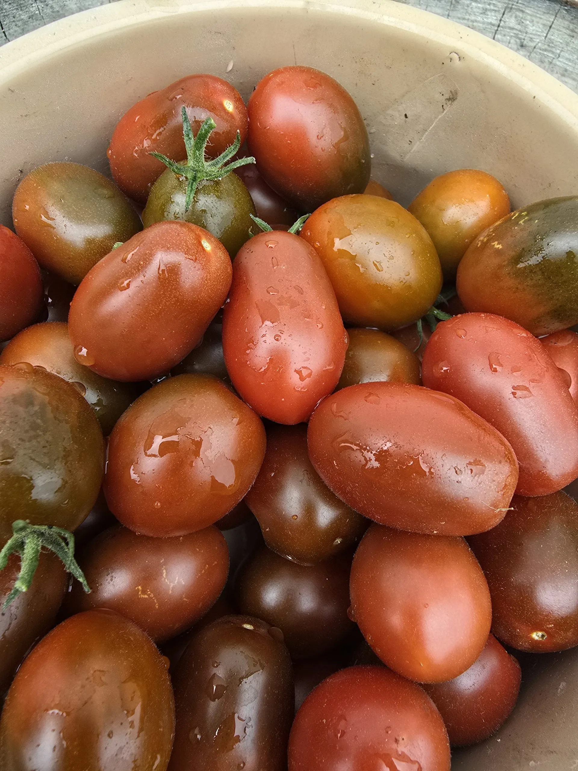 Mini Kumato Tomato Seeds - Image 4