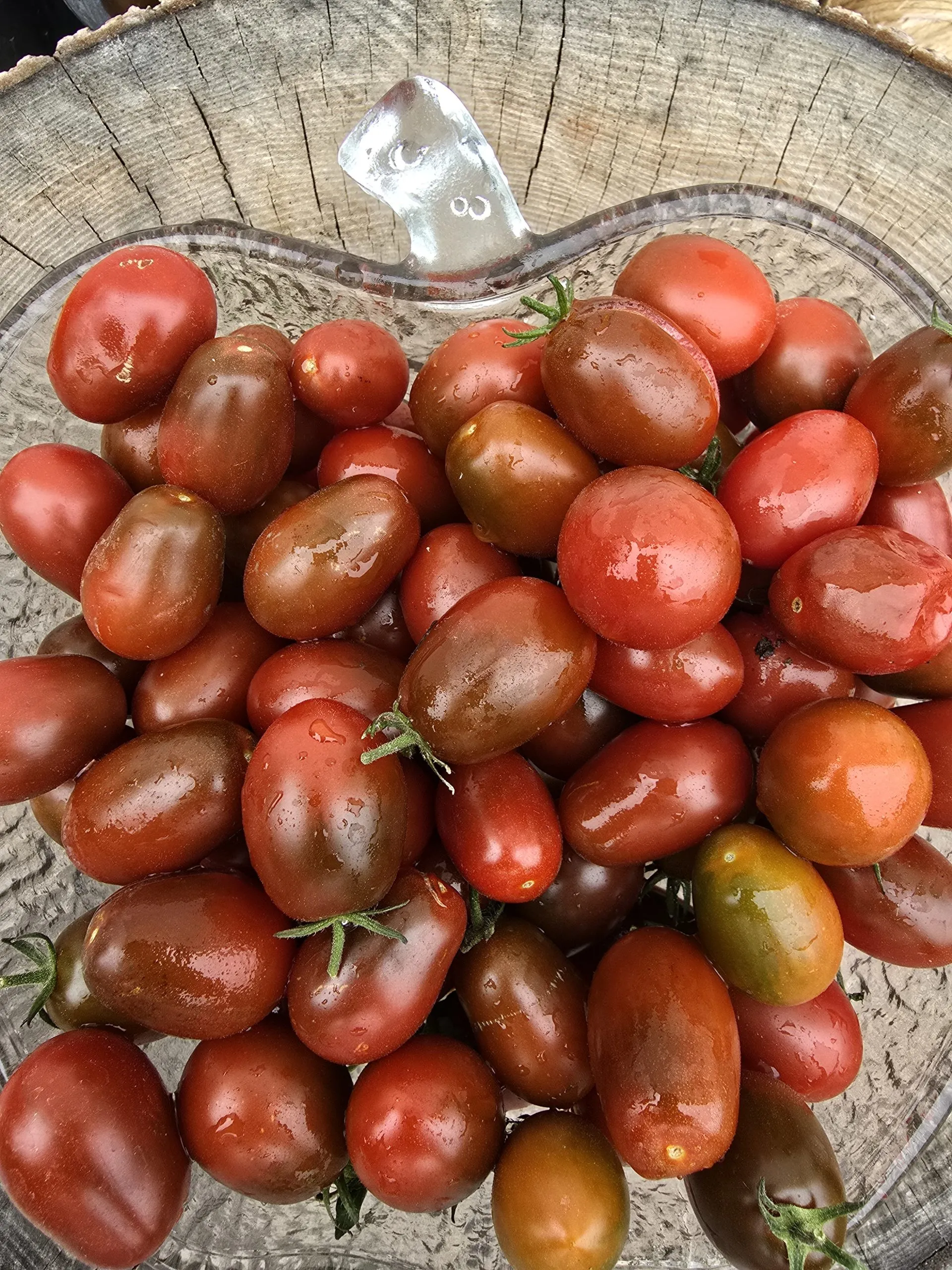Mini Kumato Tomato Seeds - Image 3