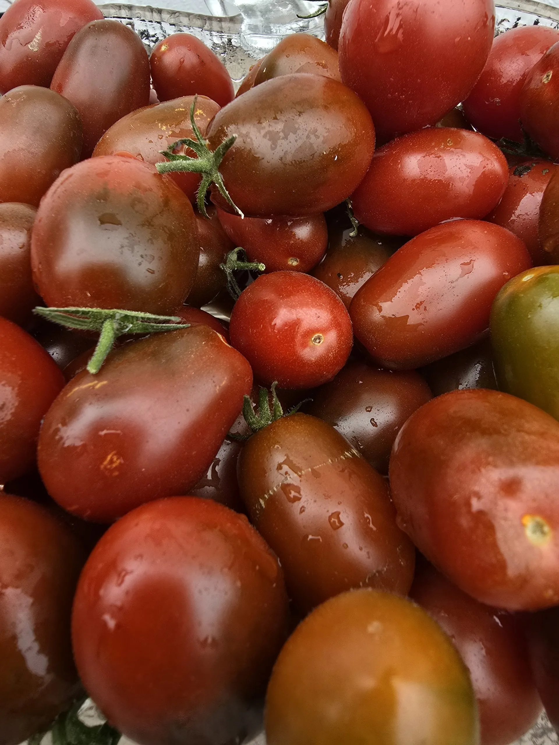Mini Kumato Tomato Seeds - Image 2