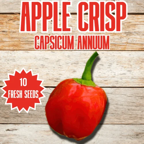 Apple Crisp Chilli Seeds
