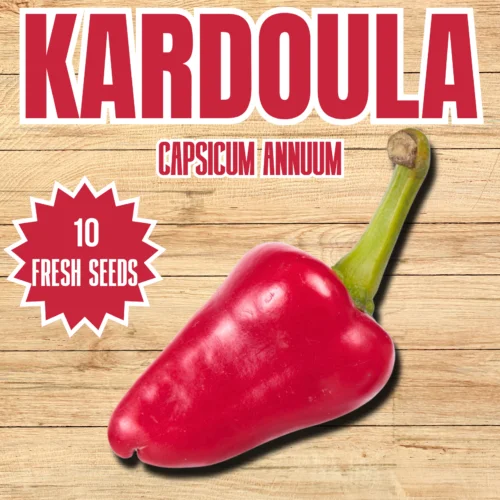 Kardoula Chilli Seeds