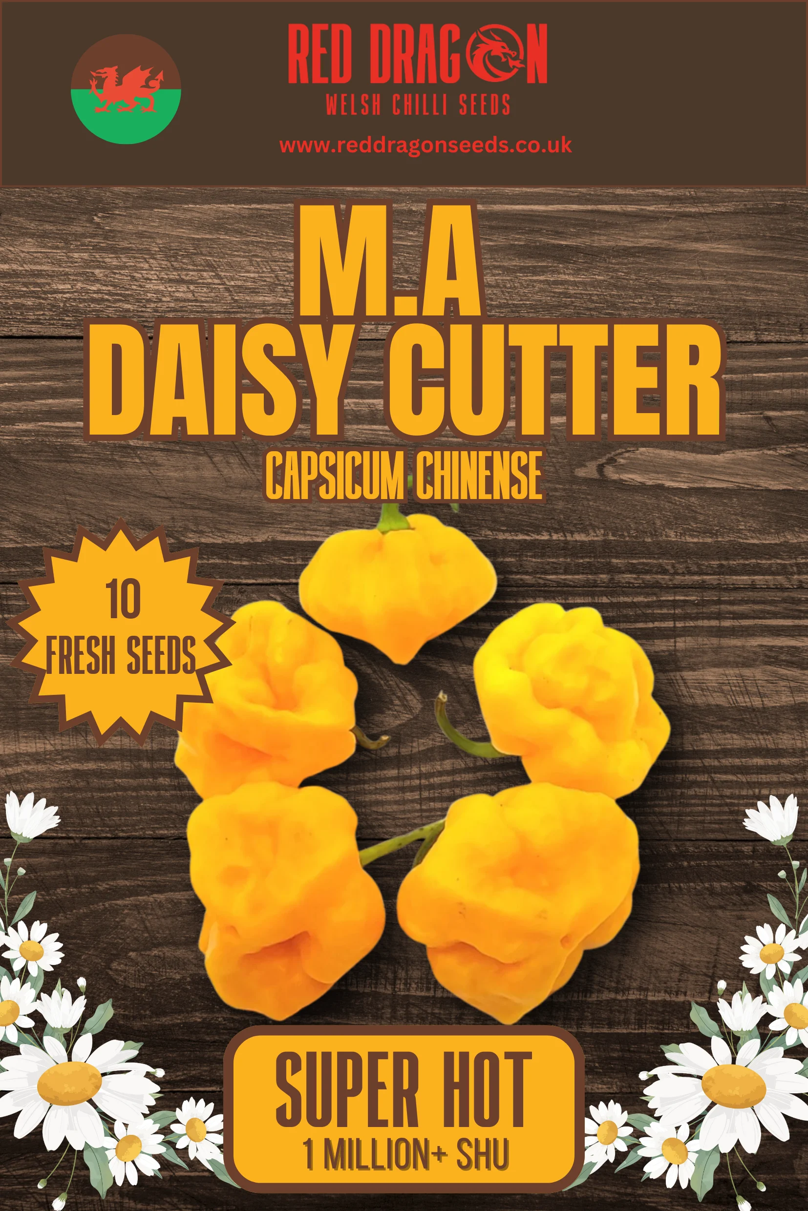 M.A. DaisyCutter Chilli Seeds