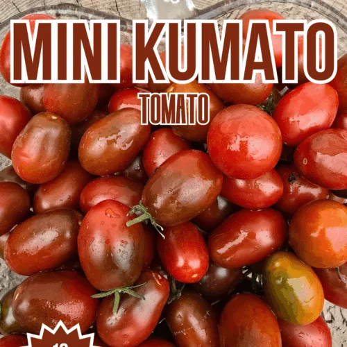 Mini Kumato Tomato Seeds