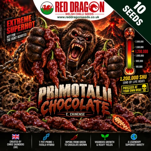 Primotalii Chocolate Chilli Seeds