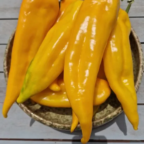 Corno Di Toro Sweet Pepper Seeds