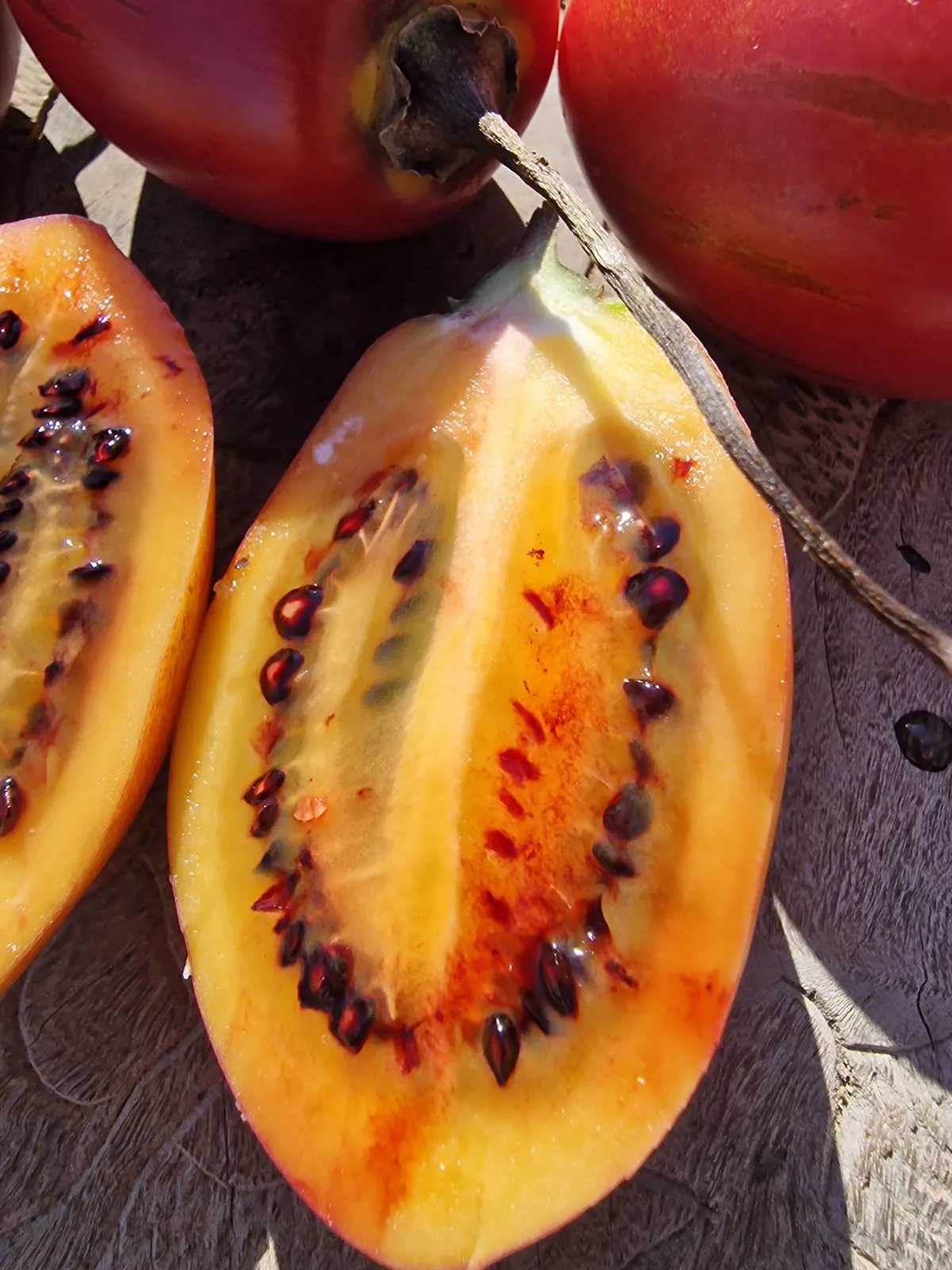 Tamarillo Seeds - Image 2