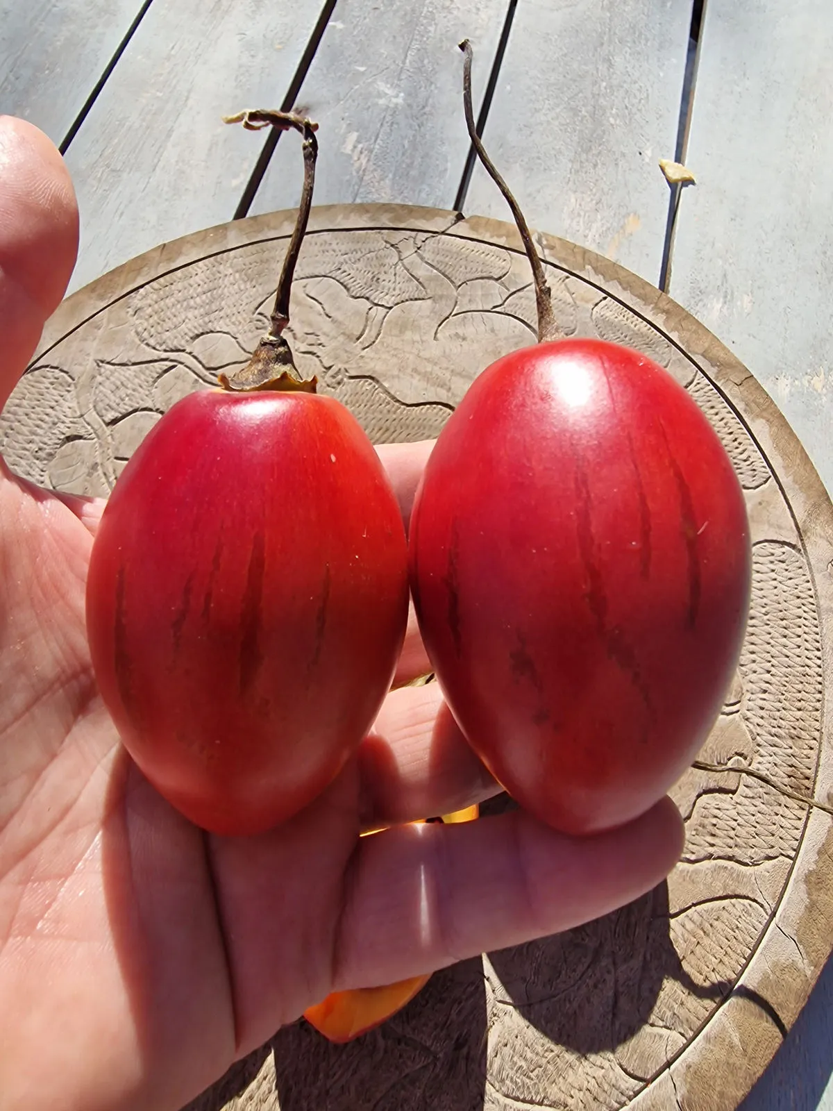 Tamarillo Seeds - Image 5