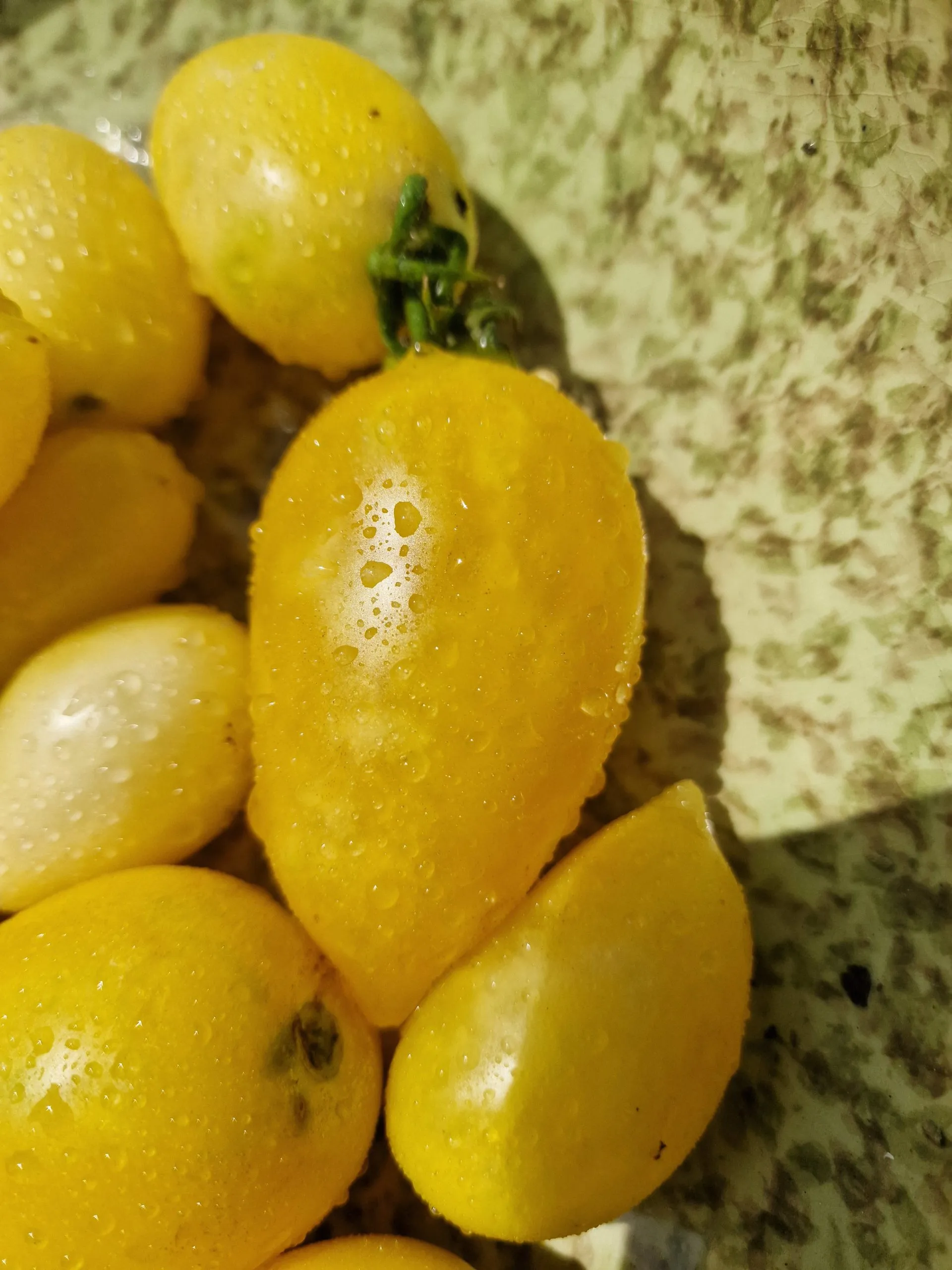 Cream Sausage Tomato Seeds - Image 2