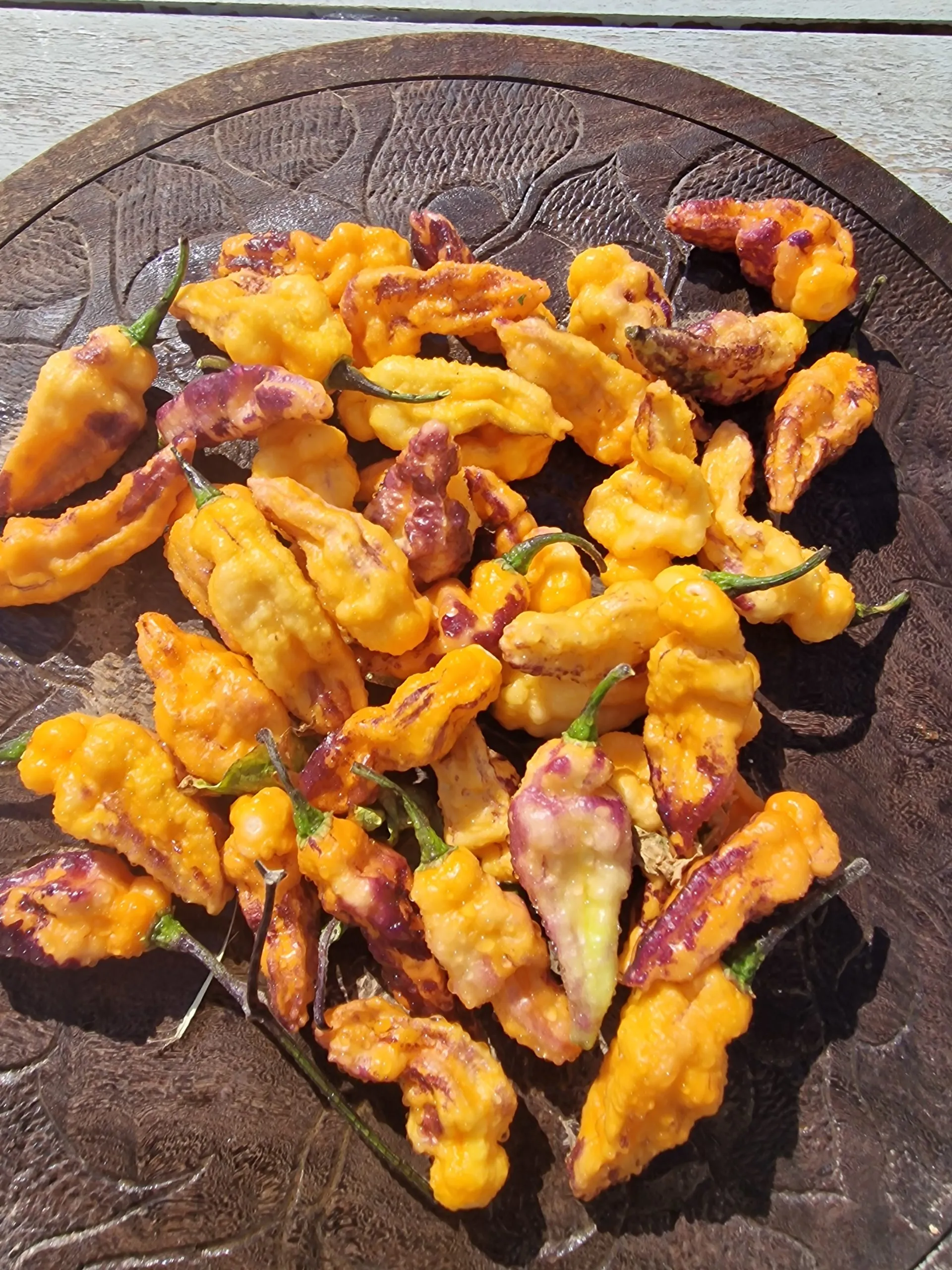 Teja Habanero Chilli Seeds - Image 4