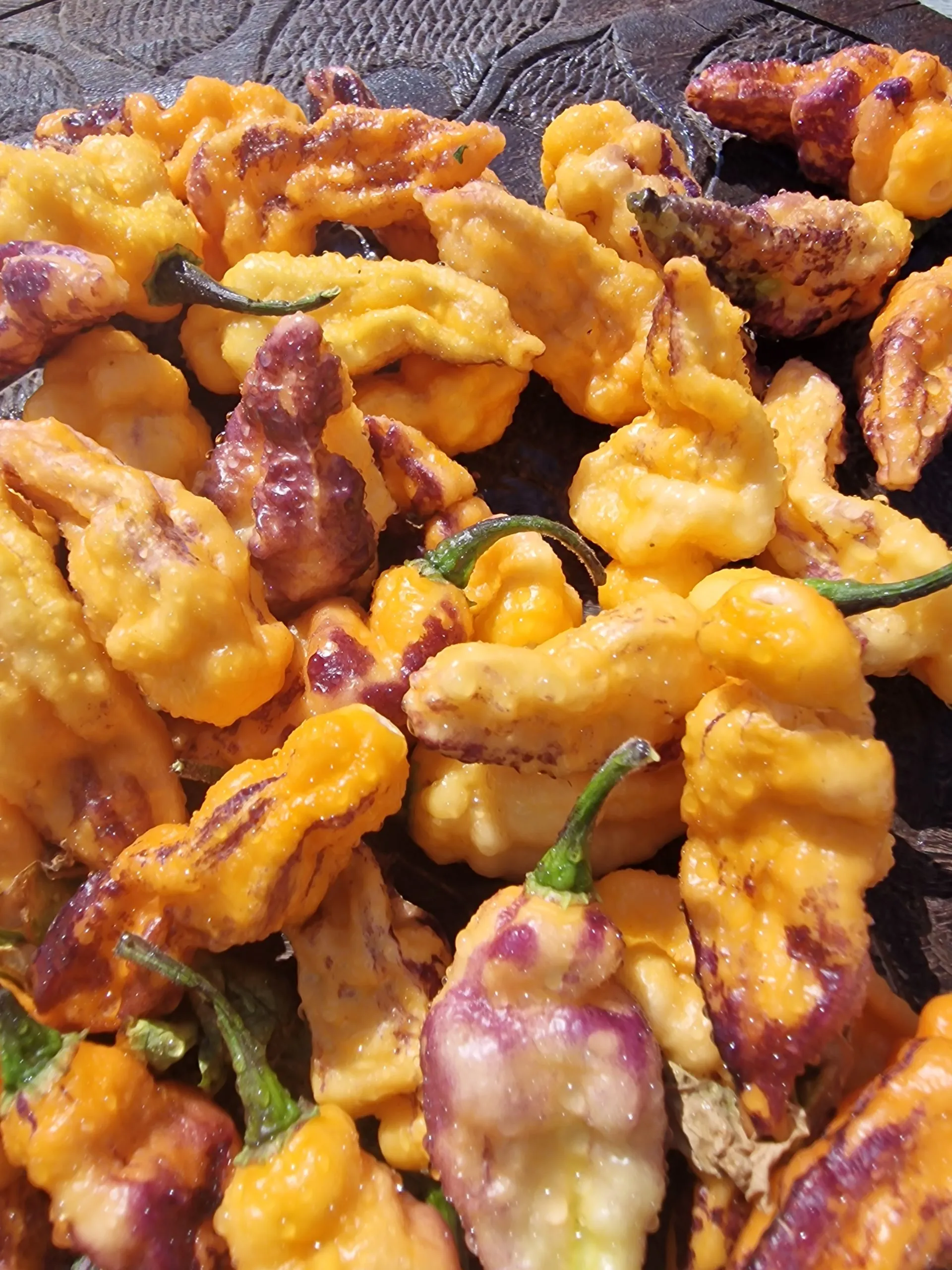 Teja Habanero Chilli Seeds - Image 5