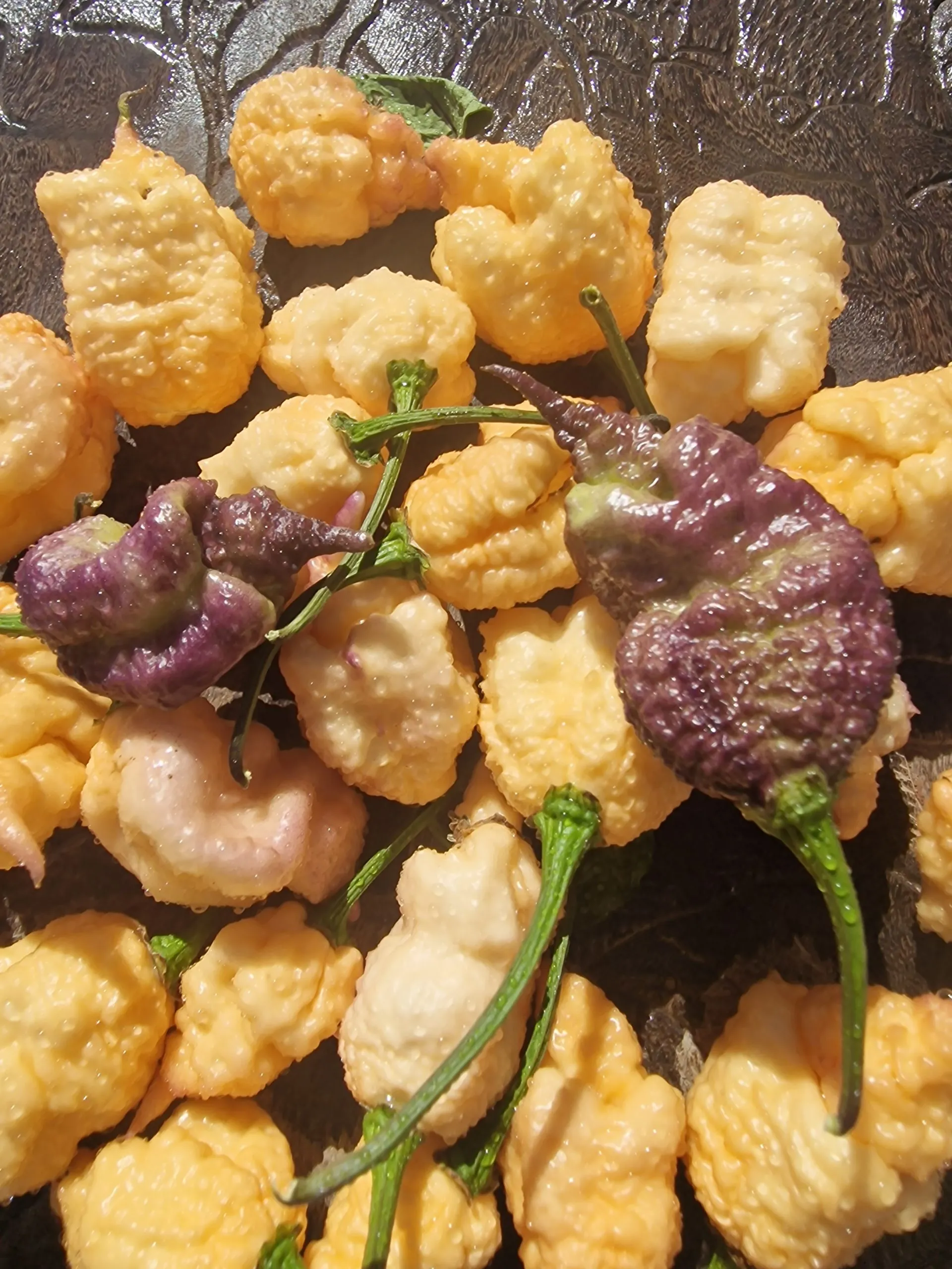 Purple Peach Reaper DS Chilli Seeds - Image 5