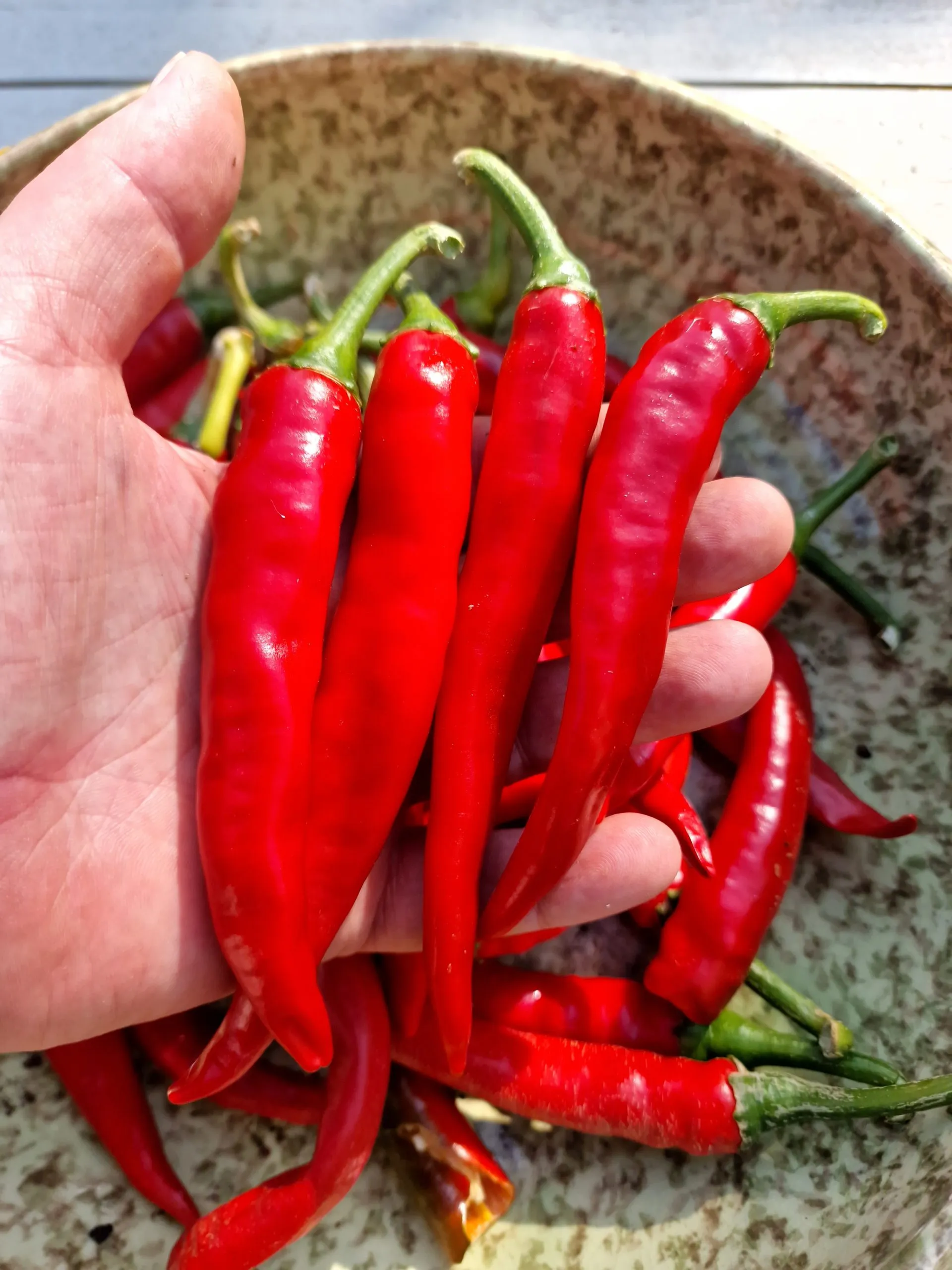 Cayenne Red & Orange Double Pack Chilli Seeds - Image 5