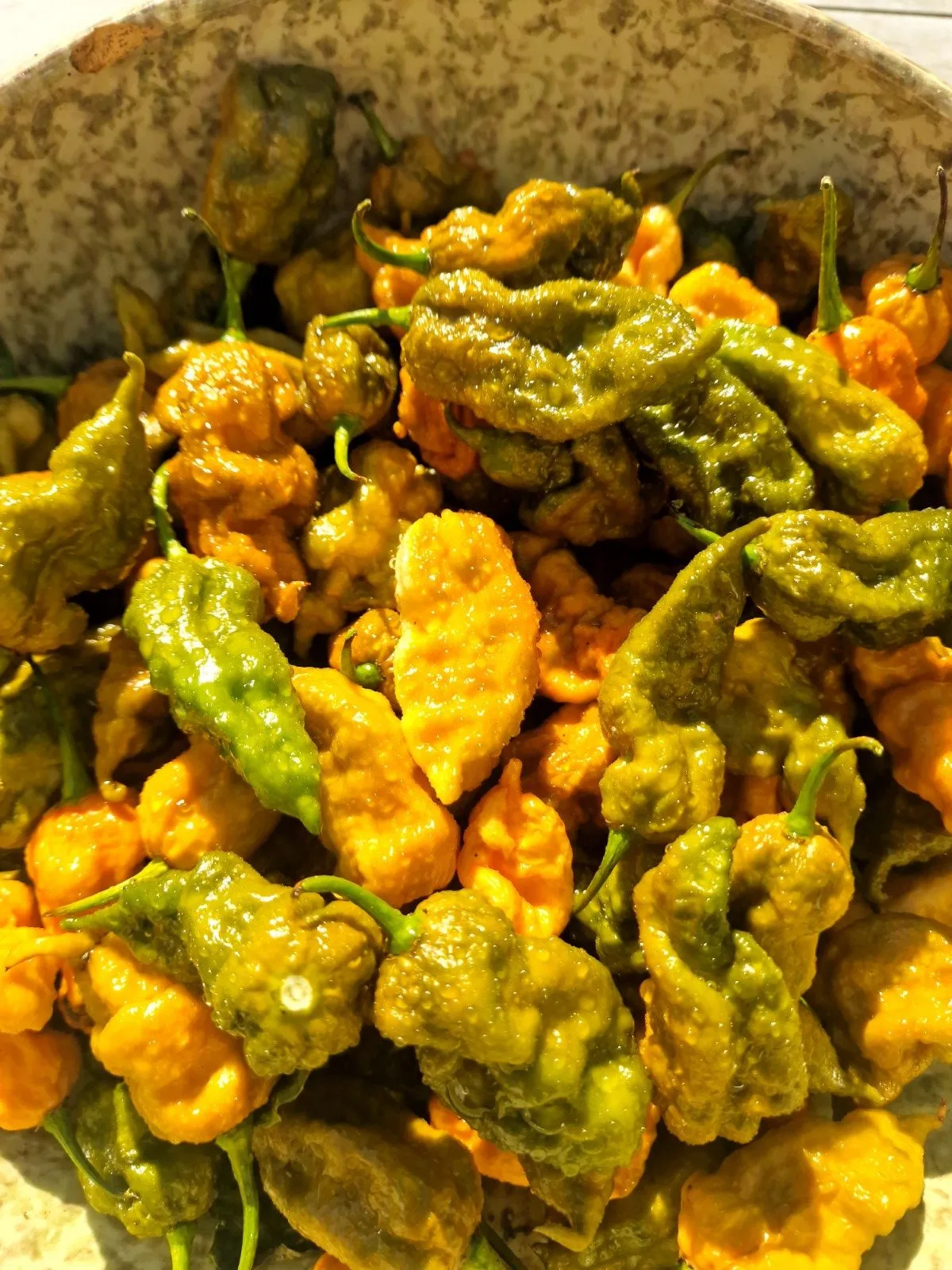 Butterscotch Ghost Scorpion Chilli Seeds - Image 4