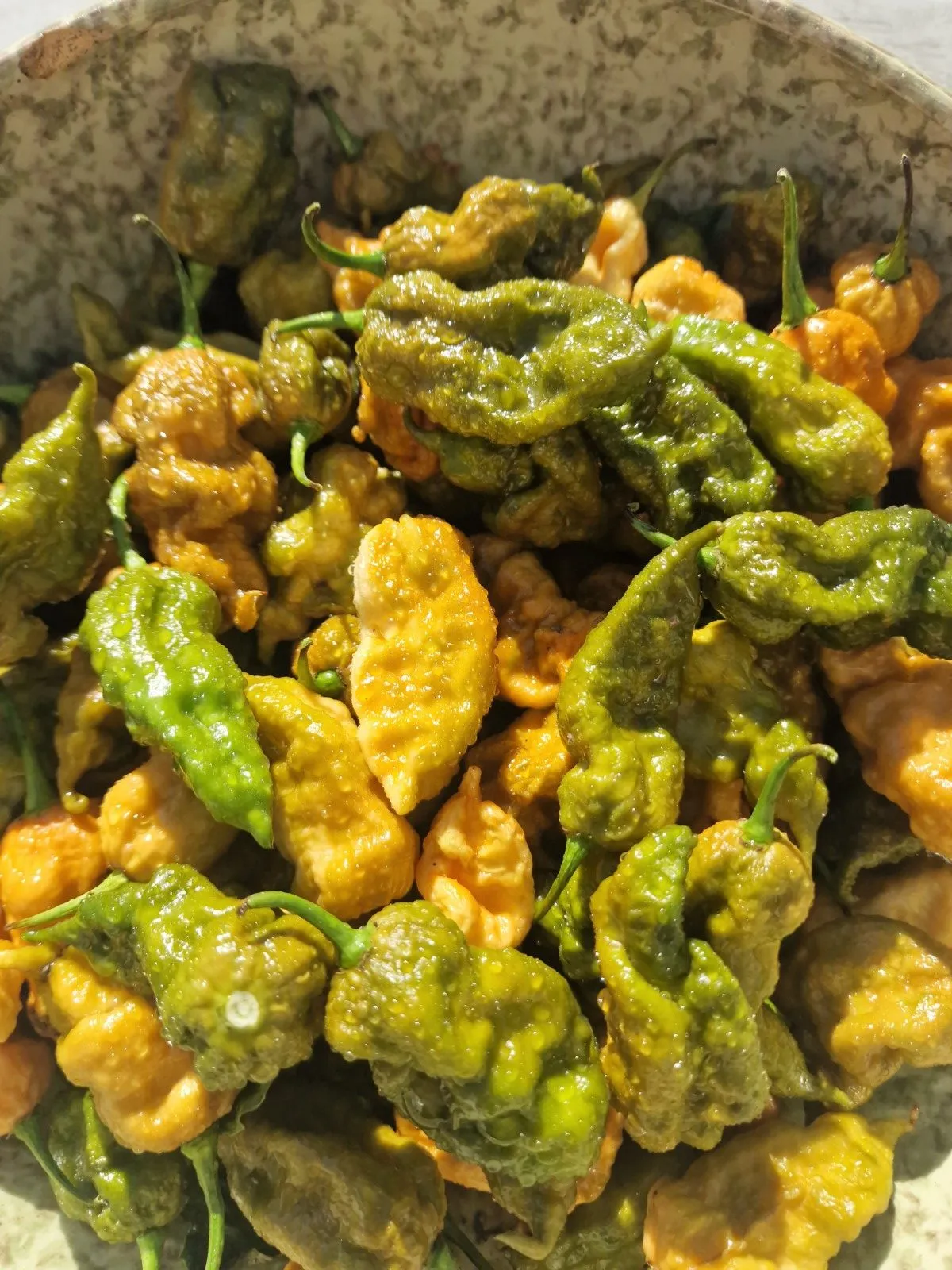 Butterscotch Ghost Scorpion Chilli Seeds - Image 5