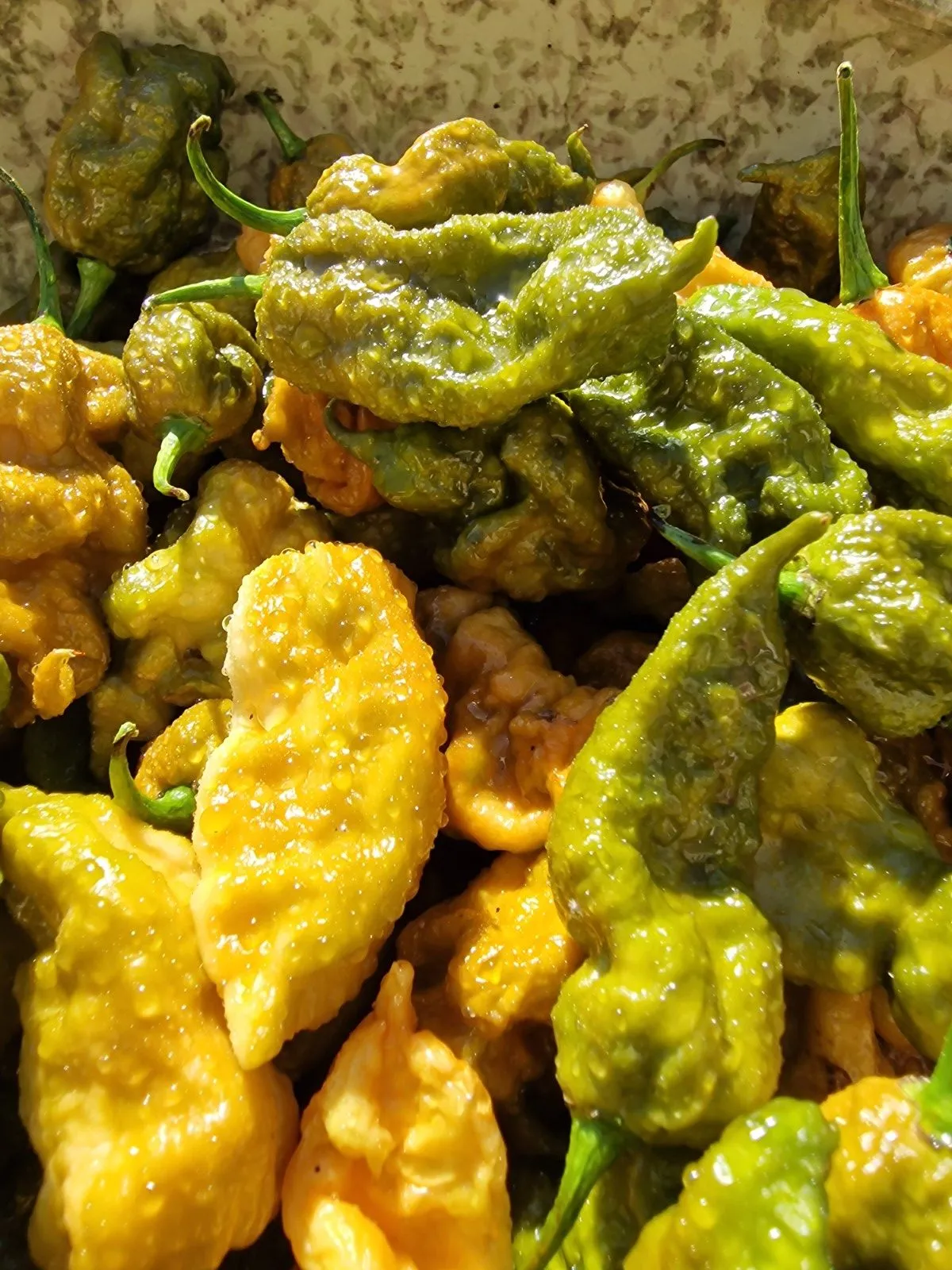 Butterscotch Ghost Scorpion Chilli Seeds - Image 6