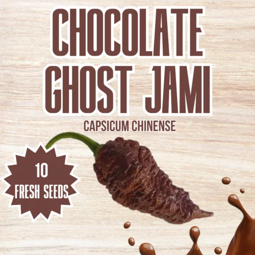 Chocolate Ghost Jami Chilli Seeds