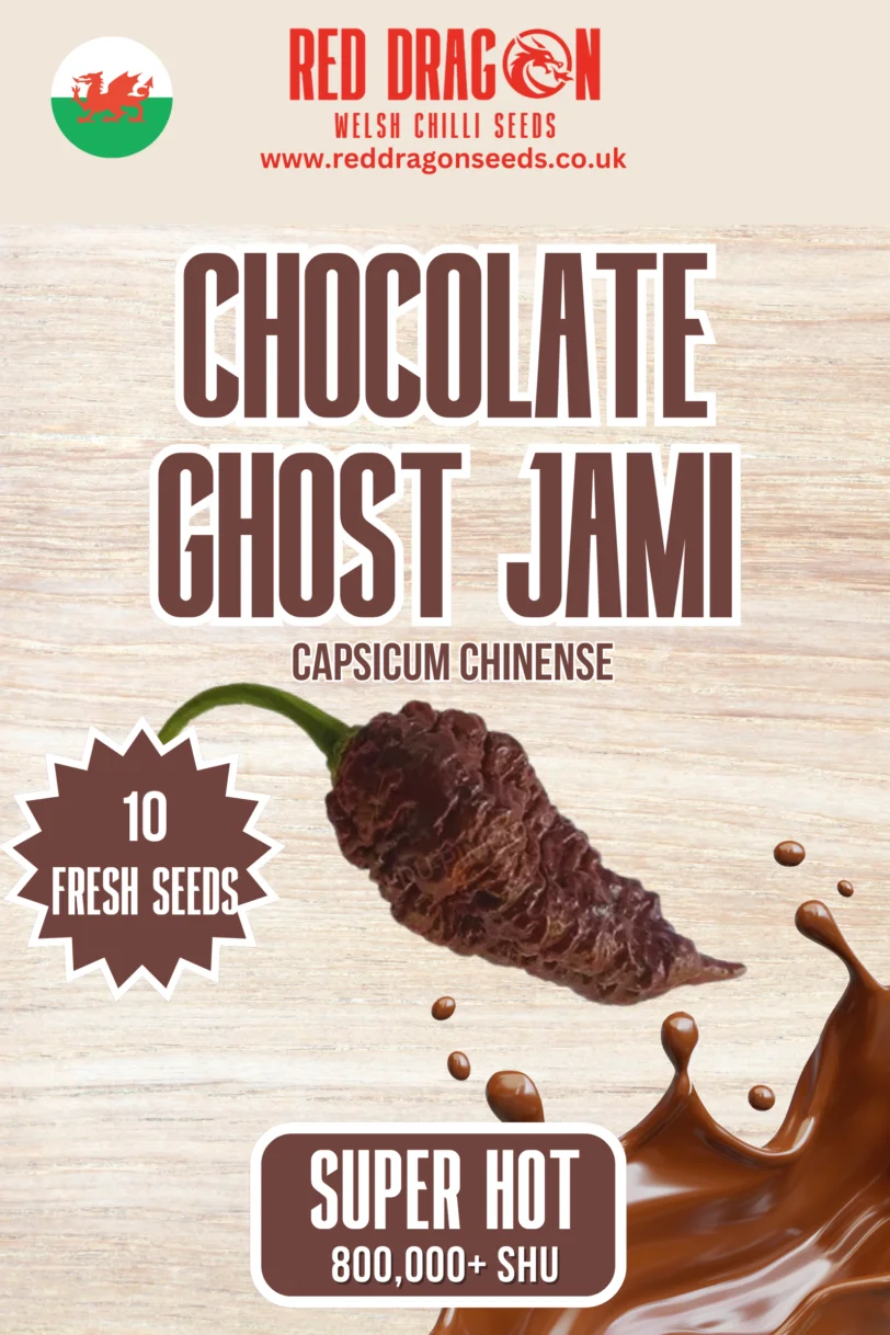 Chocolate Ghost Jami Chilli Seeds
