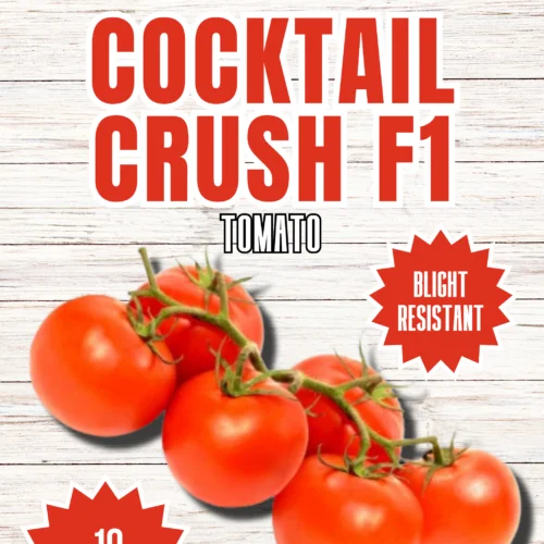 Cocktail F1 Crush Tomato Seeds