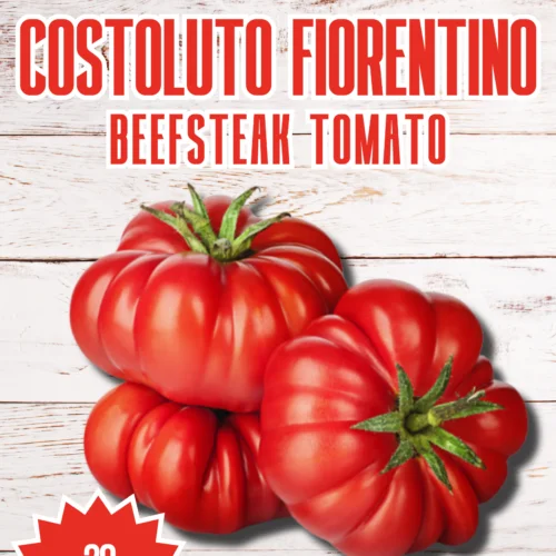 Costoluto Fiorentino Tomato Seeds