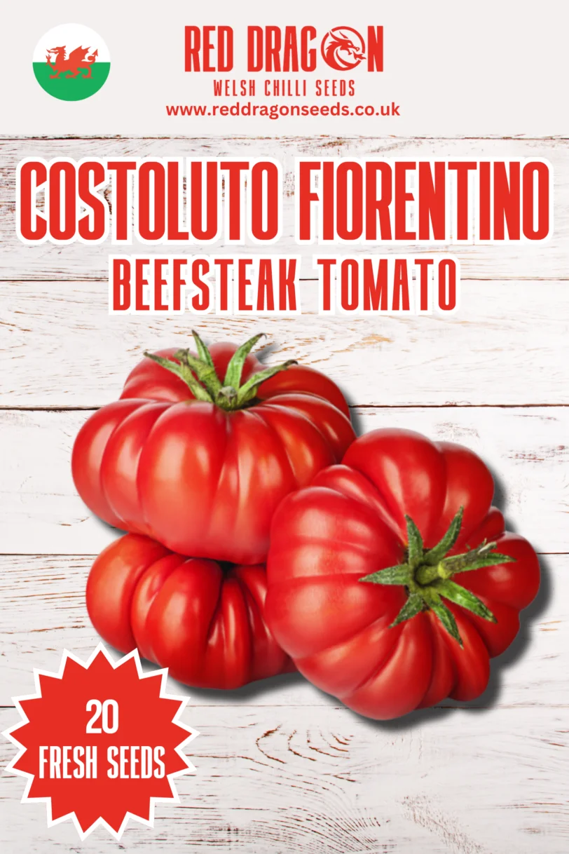 Costoluto Fiorentino Tomato Seeds