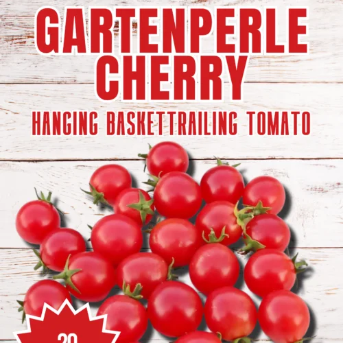 GartenPerle Tomato Seeds