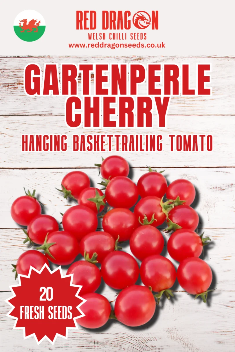 GartenPerle Tomato Seeds