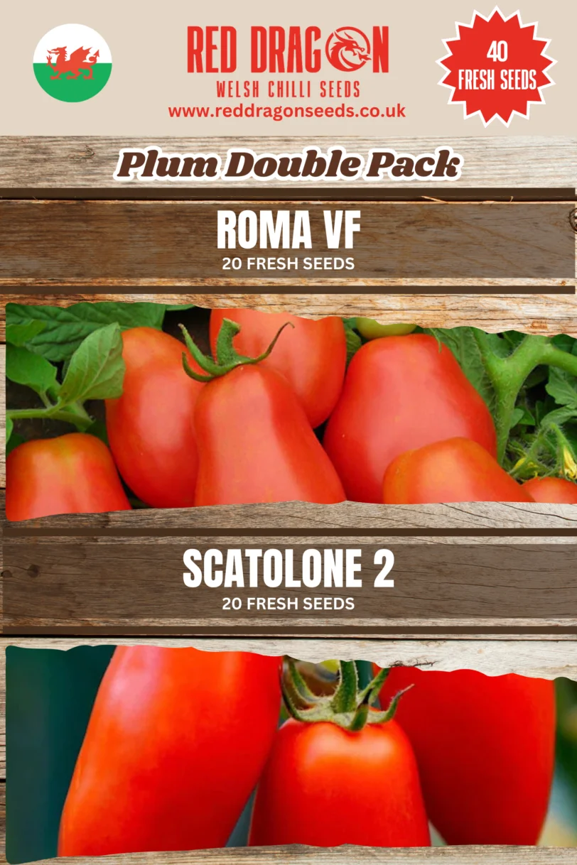 Plum Tomato Seeds Double Pack