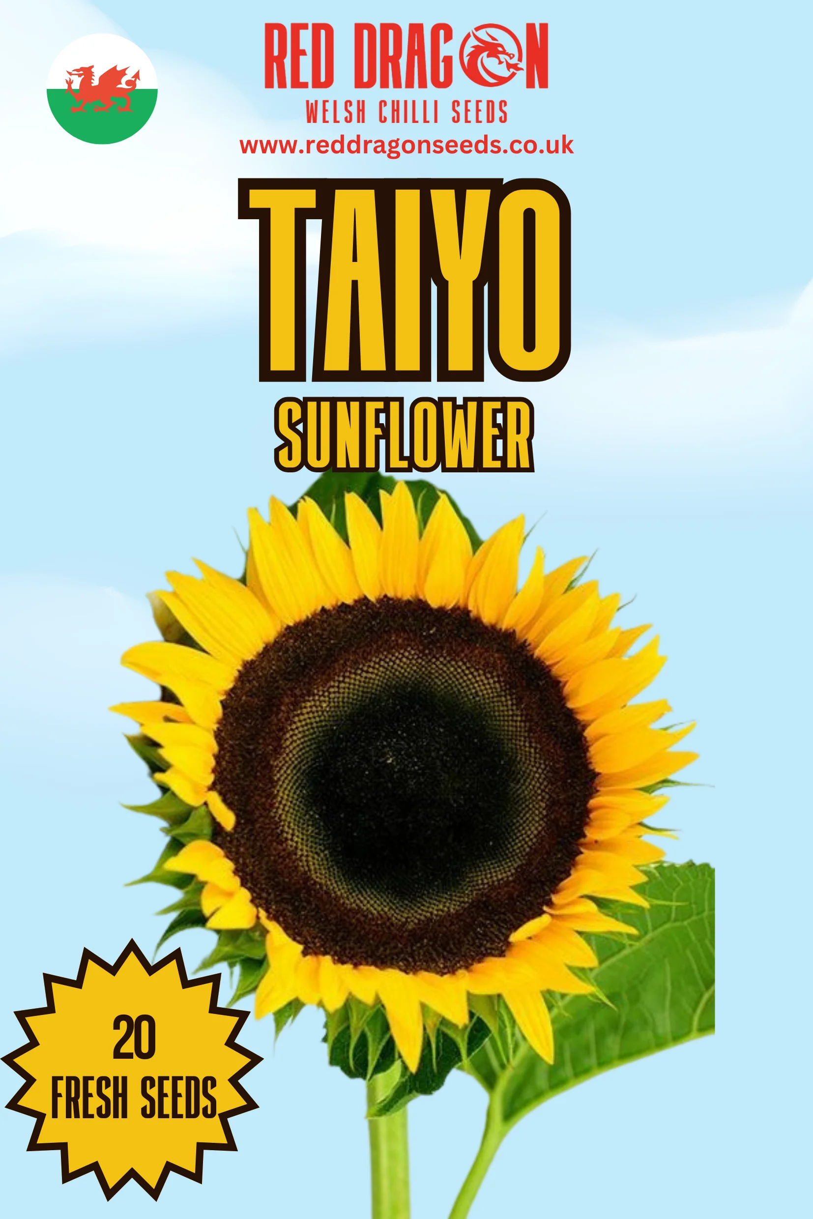 Taiyo Sunflower Seeds