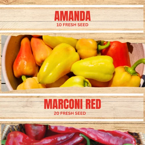 Sweet Pepper Seeds Double Pack
