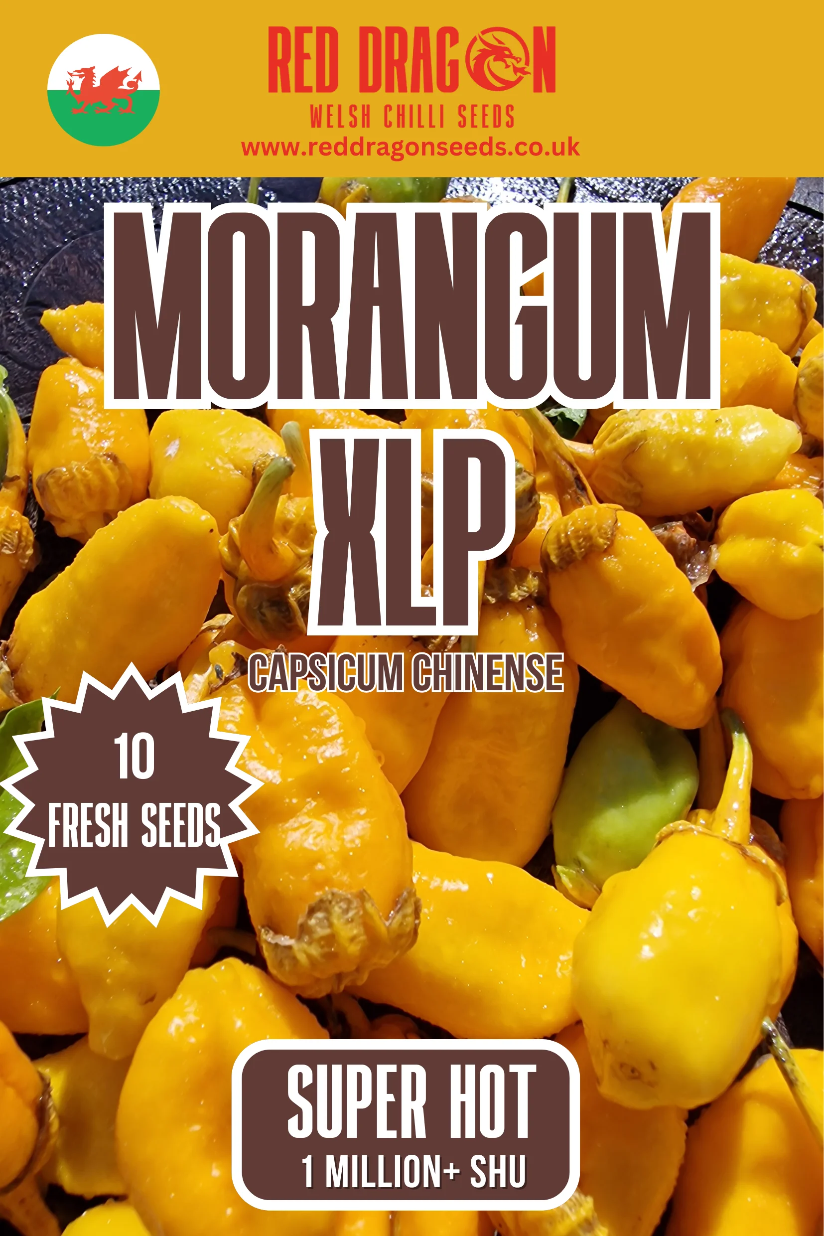 Morangum XLP Chilli Seeds