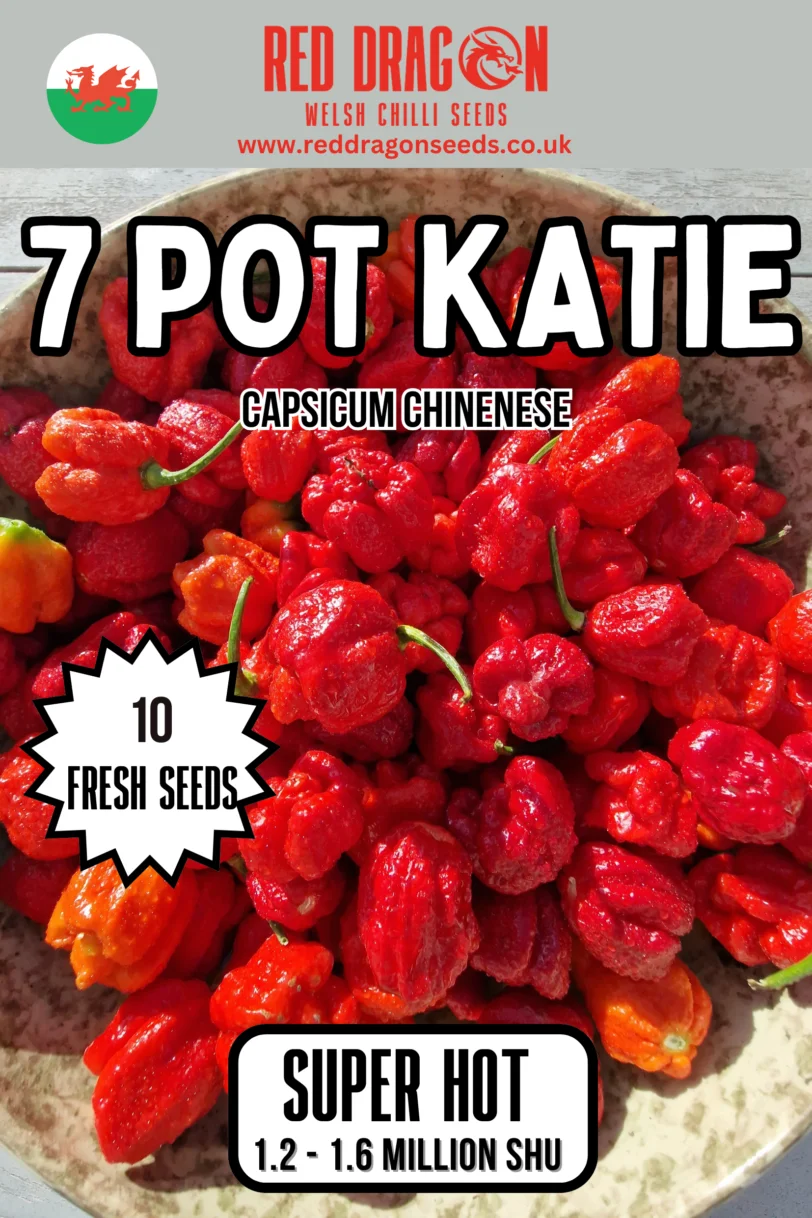 7 Pot Katie Chilli Seeds