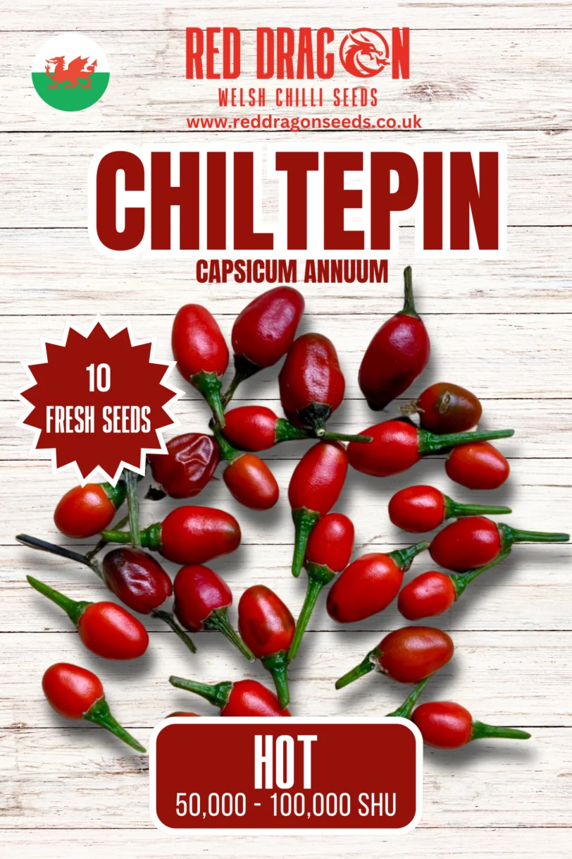 Chiltepin Chilli Seeds