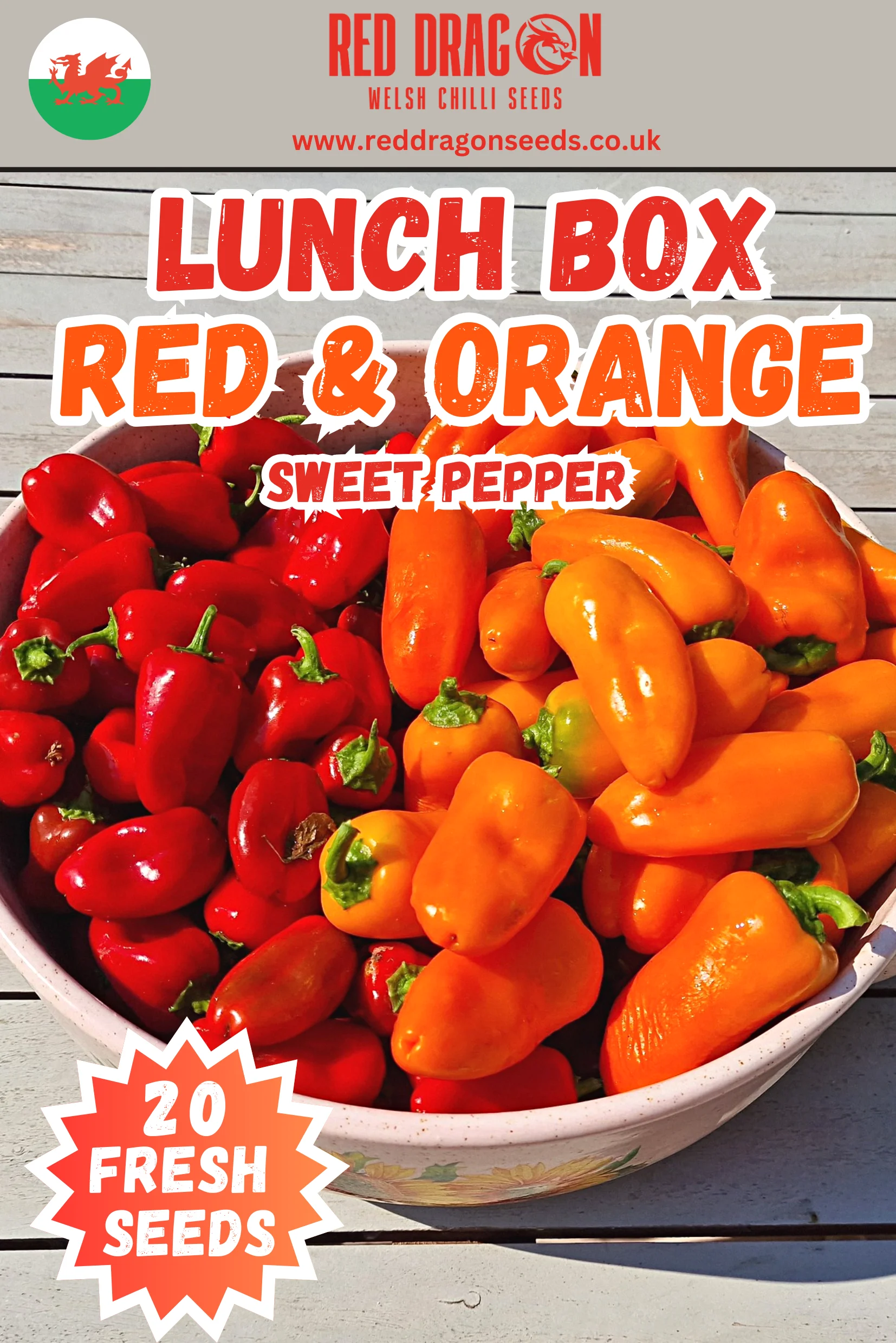 Lunch Box Red Orange Sweet Pepper Seeds